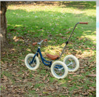 Loopfiets 2 in 1 - Blauw